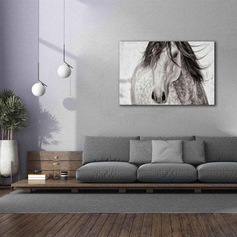 Image of 'My Beautiful Mane' by Lisa Dearing, Giclee Canvas Wall Art,60x40