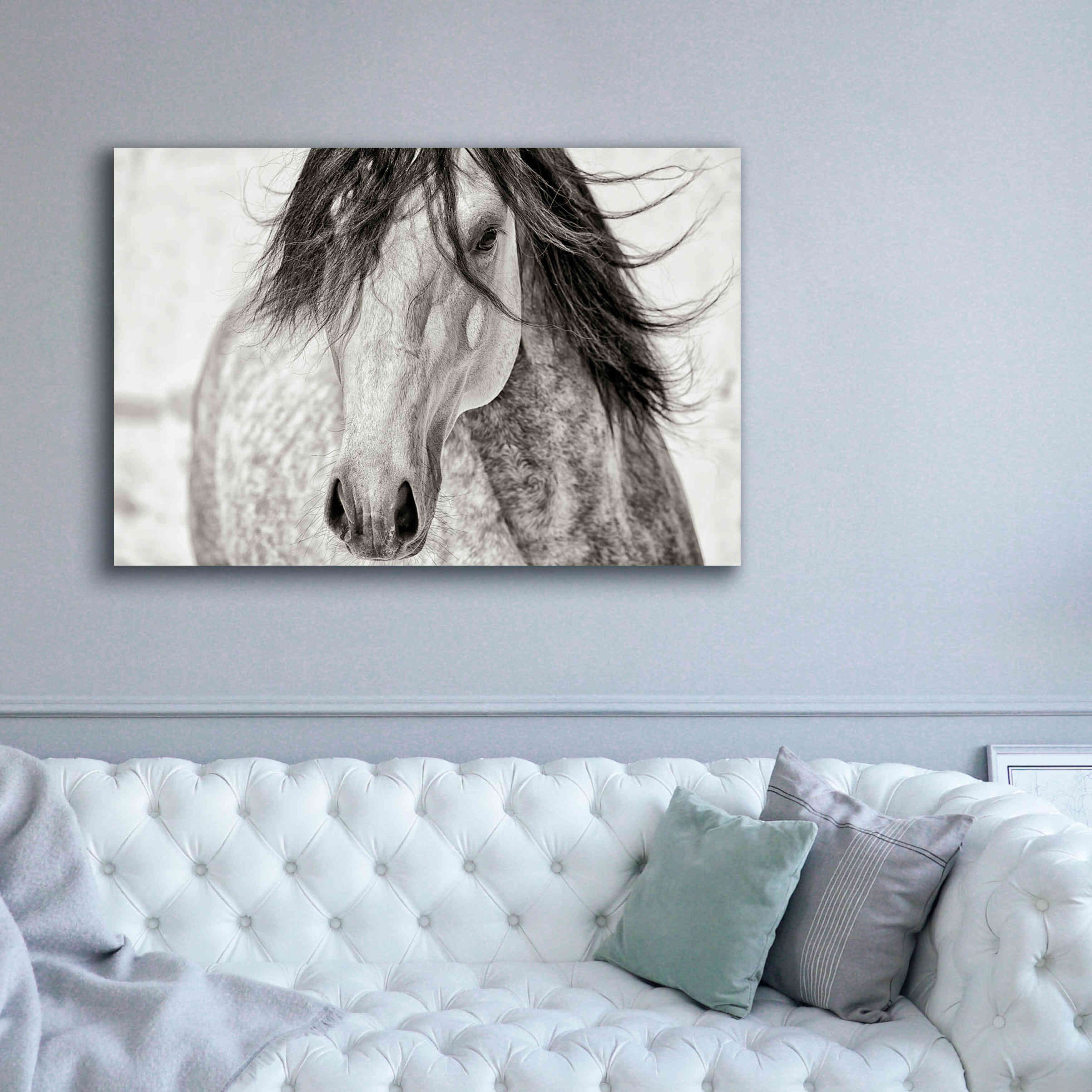 'My Beautiful Mane' by Lisa Dearing, Giclee Canvas Wall Art,60x40
