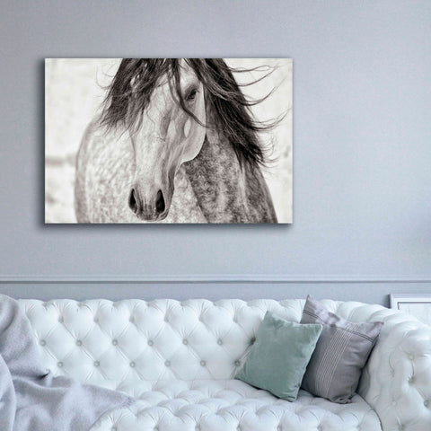 Image of 'My Beautiful Mane' by Lisa Dearing, Giclee Canvas Wall Art,60x40