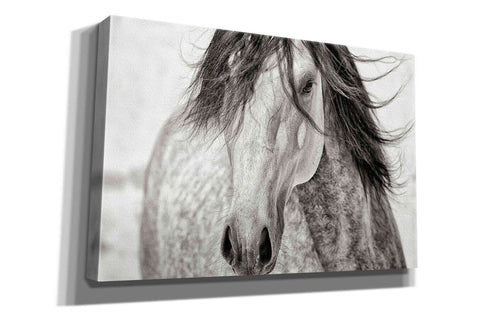 Image of 'My Beautiful Mane' by Lisa Dearing, Giclee Canvas Wall Art