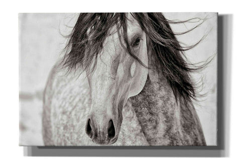 Image of 'My Beautiful Mane' by Lisa Dearing, Giclee Canvas Wall Art
