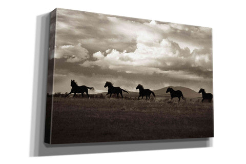 Image of 'Racing the Clouds' by Lisa Dearing, Giclee Canvas Wall Art