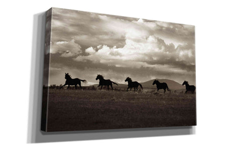 'Racing the Clouds' by Lisa Dearing, Giclee Canvas Wall Art