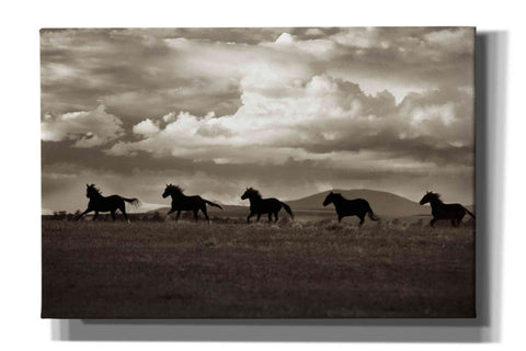 Image of 'Racing the Clouds' by Lisa Dearing, Giclee Canvas Wall Art