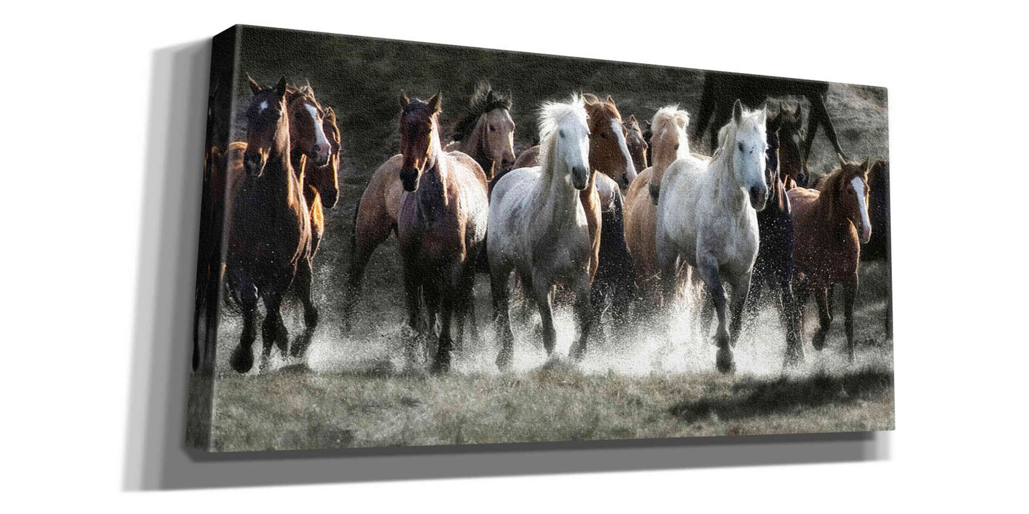 'Renegades' by Lisa Dearing, Giclee Canvas Wall Art