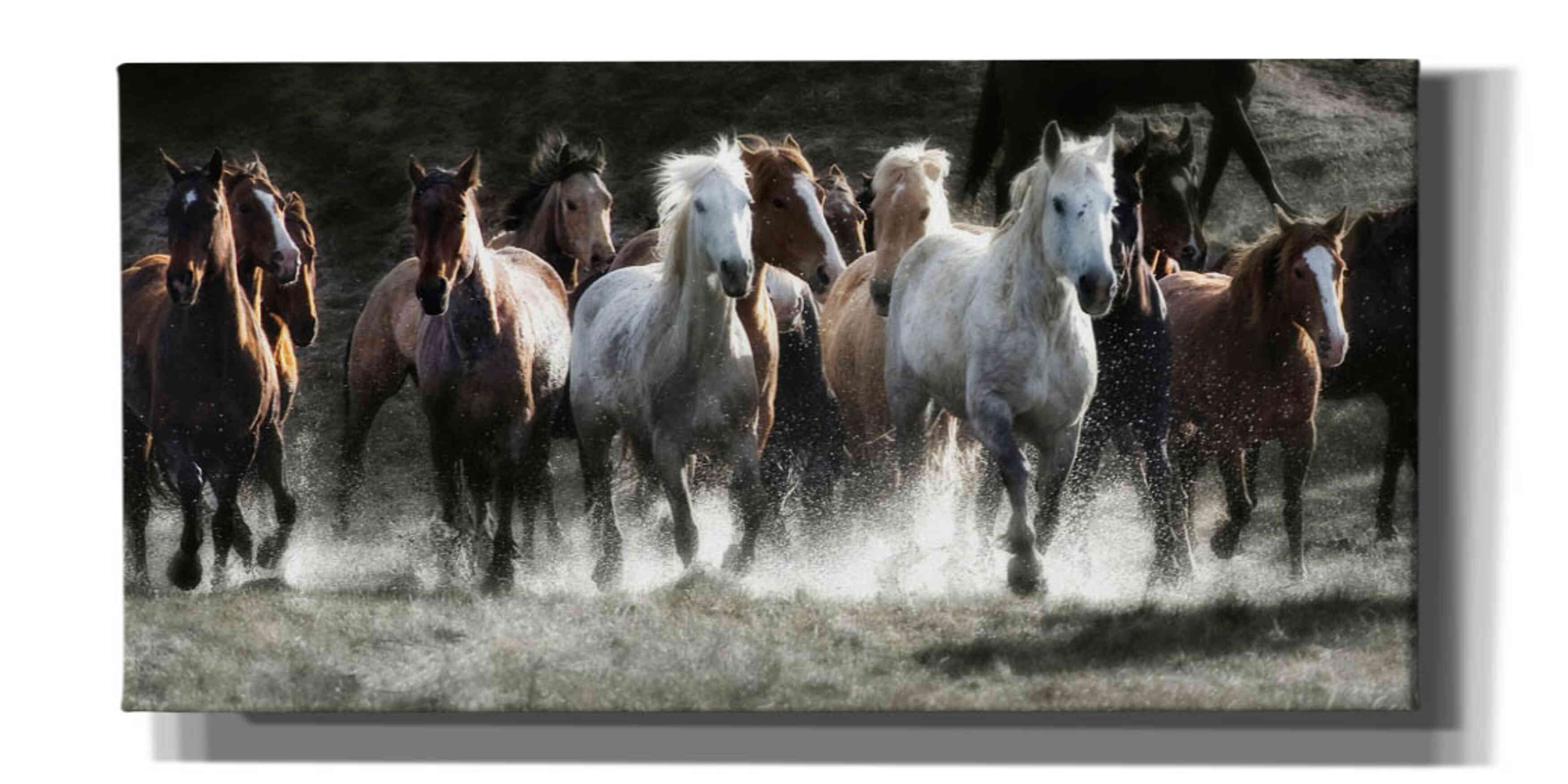 'Renegades' by Lisa Dearing, Giclee Canvas Wall Art