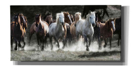 'Renegades' by Lisa Dearing, Giclee Canvas Wall Art