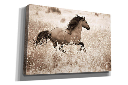 'Running Free' by Lisa Dearing, Giclee Canvas Wall Art