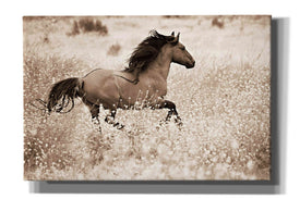 'Running Free' by Lisa Dearing, Giclee Canvas Wall Art