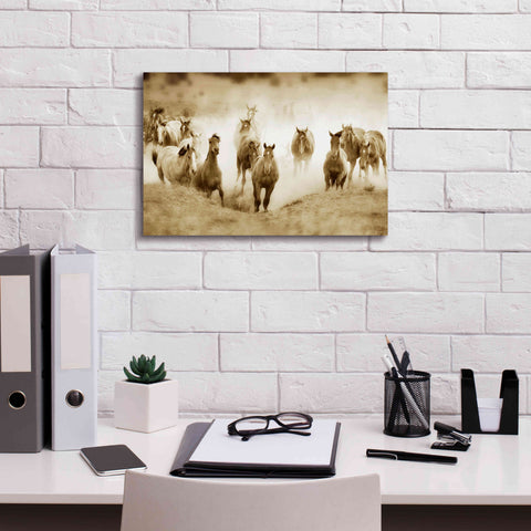 Image of 'San Cristobol Horses' by Lisa Dearing, Giclee Canvas Wall Art,18x12