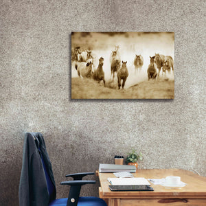 'San Cristobol Horses' by Lisa Dearing, Giclee Canvas Wall Art,40x26