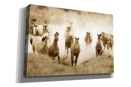 'San Cristobol Horses' by Lisa Dearing, Giclee Canvas Wall Art