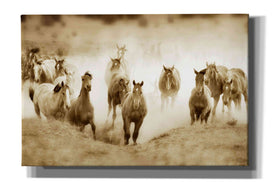 'San Cristobol Horses' by Lisa Dearing, Giclee Canvas Wall Art