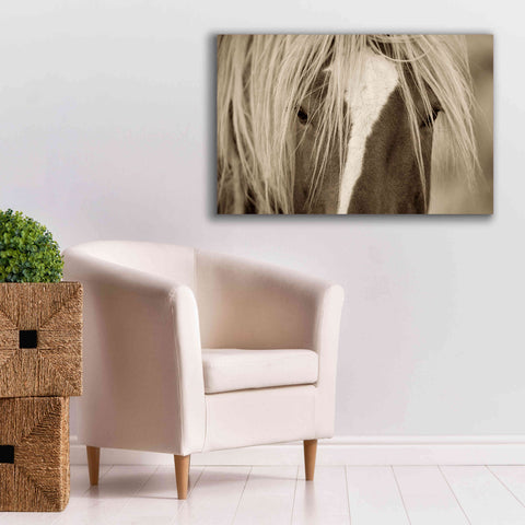 Image of 'The Blonde' by Lisa Dearing, Giclee Canvas Wall Art,40x26
