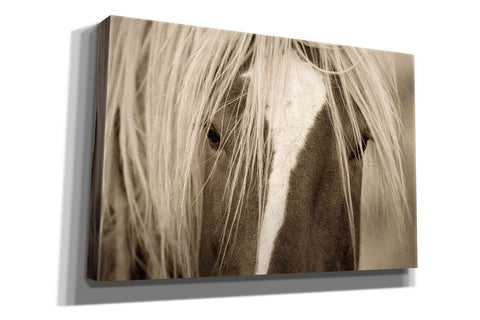 Image of 'The Blonde' by Lisa Dearing, Giclee Canvas Wall Art
