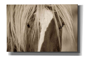 'The Blonde' by Lisa Dearing, Giclee Canvas Wall Art