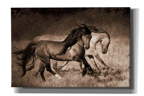 Image of 'The Dance' by Lisa Dearing, Giclee Canvas Wall Art