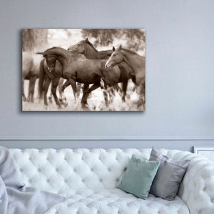 'The Herd' by Lisa Dearing, Giclee Canvas Wall Art,60x40