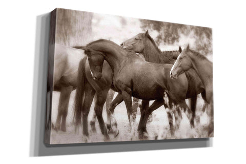 Image of 'The Herd' by Lisa Dearing, Giclee Canvas Wall Art