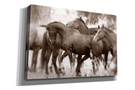 'The Herd' by Lisa Dearing, Giclee Canvas Wall Art