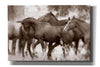 'The Herd' by Lisa Dearing, Giclee Canvas Wall Art