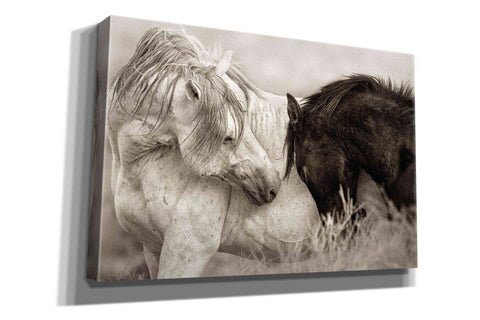 Image of 'The Long Goodbye' by Lisa Dearing, Giclee Canvas Wall Art