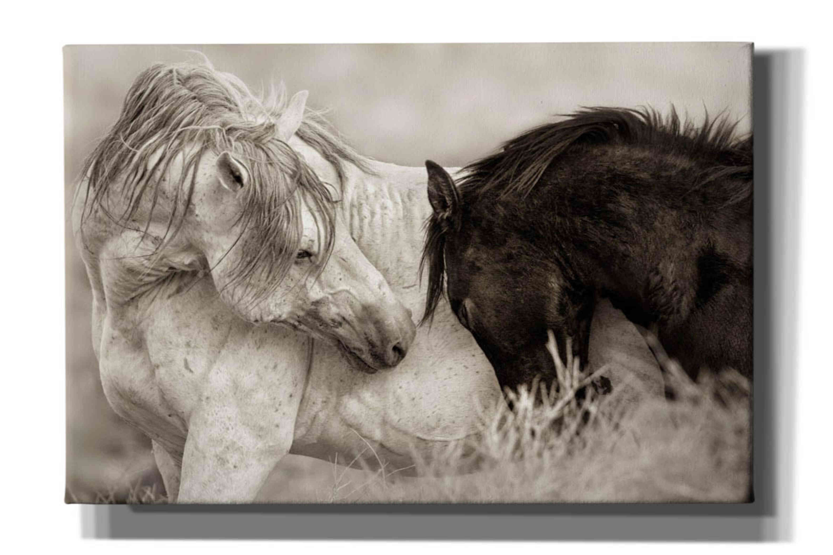 'The Long Goodbye' by Lisa Dearing, Giclee Canvas Wall Art