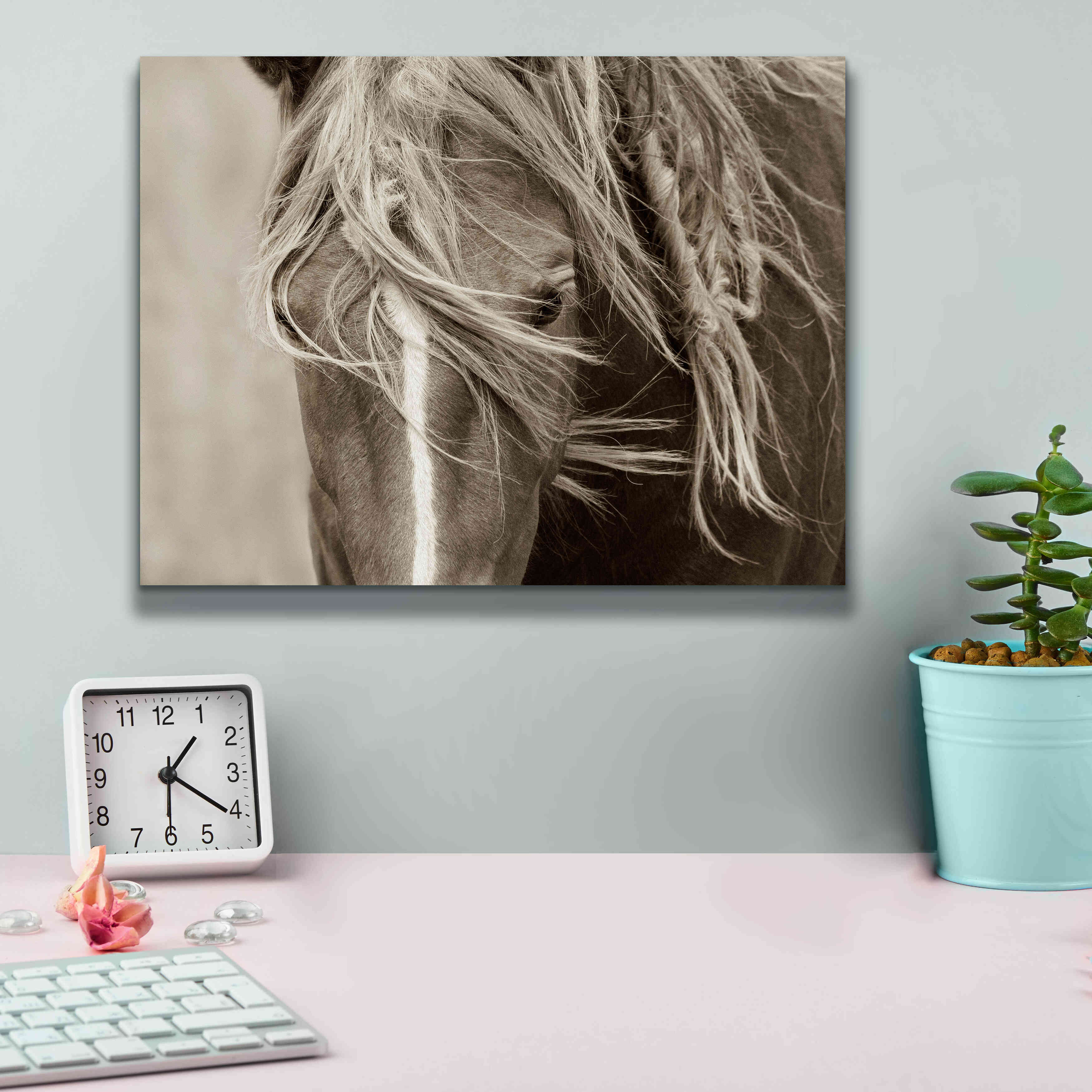 'Wind Knots' by Lisa Dearing, Giclee Canvas Wall Art,16x12