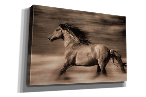 Image of 'Wind Runner' by Lisa Dearing, Giclee Canvas Wall Art
