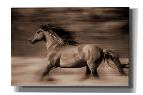 Image of 'Wind Runner' by Lisa Dearing, Giclee Canvas Wall Art