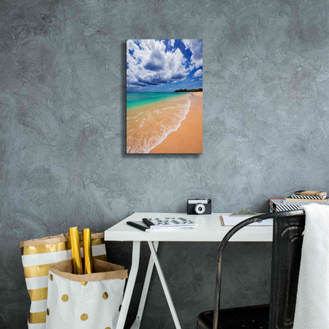 Image of 'A Perfect Day' by Lizzy Davis, Giclee Canvas Wall Art,12x18