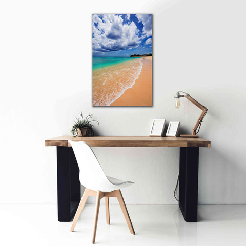 Image of 'A Perfect Day' by Lizzy Davis, Giclee Canvas Wall Art,26x40