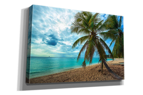 Image of 'Palm Tree Dreams' by Lizzy Davis, Giclee Canvas Wall Art