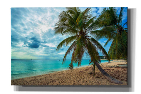 Image of 'Palm Tree Dreams' by Lizzy Davis, Giclee Canvas Wall Art