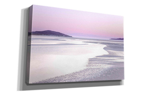 Image of 'Silver Silence' by Lynne Douglas, Giclee Canvas Wall Art