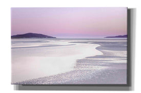 'Silver Silence' by Lynne Douglas, Giclee Canvas Wall Art