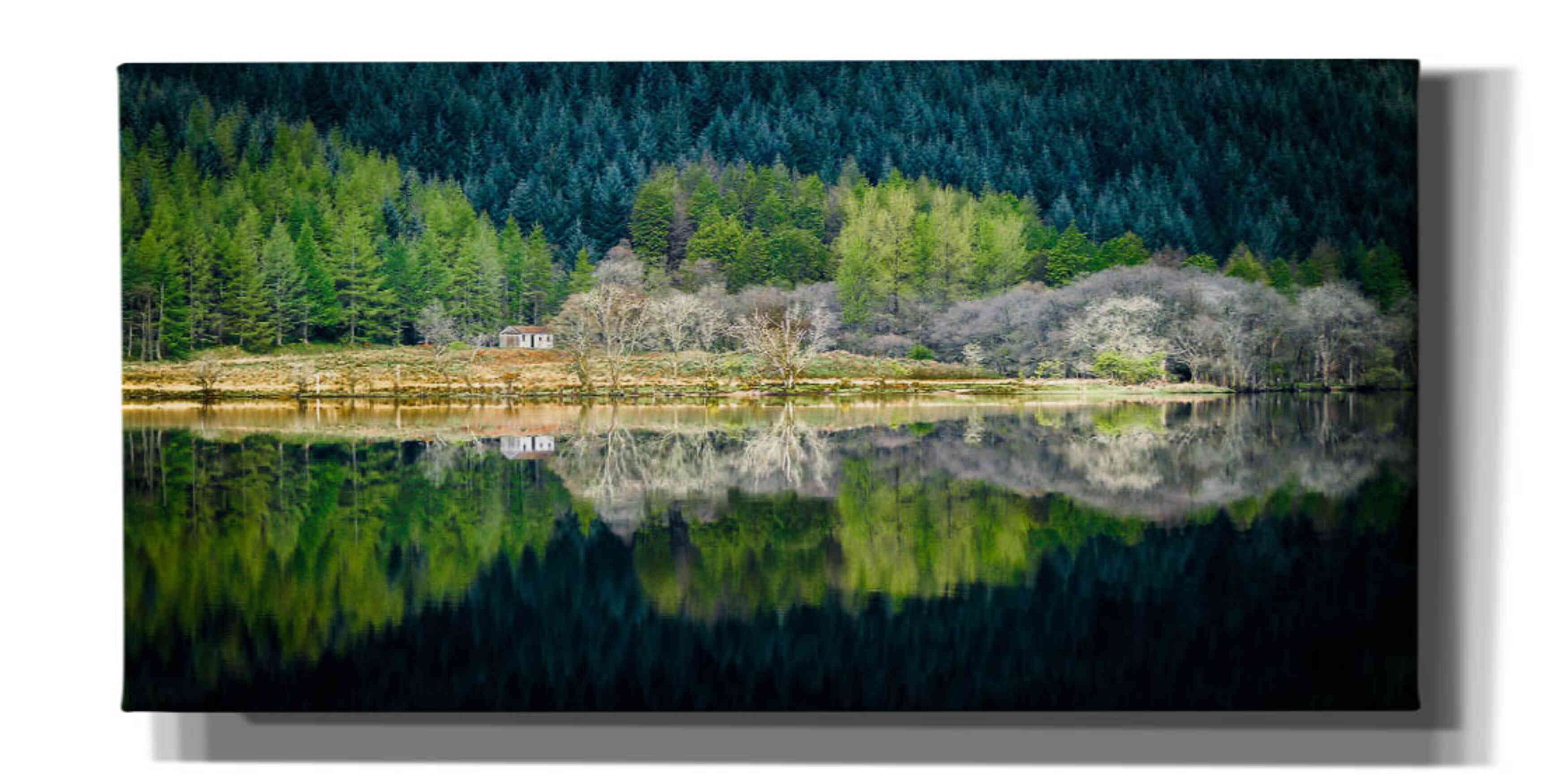 'Spring Greens' by Lynne Douglas, Giclee Canvas Wall Art