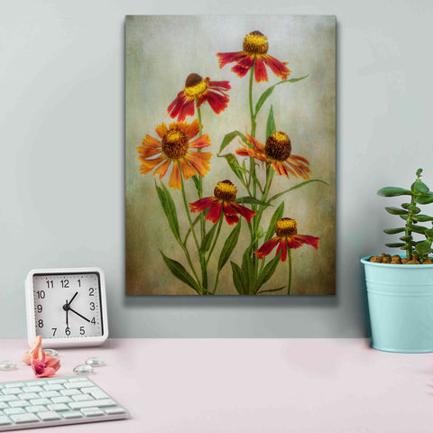 Image of 'Cabaret' by Mandy Disher, Giclee Canvas Wall Art,12x16