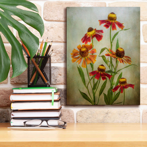 Image of 'Cabaret' by Mandy Disher, Giclee Canvas Wall Art,12x16