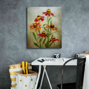 'Cabaret' by Mandy Disher, Giclee Canvas Wall Art,20x24