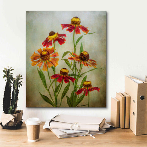 Image of 'Cabaret' by Mandy Disher, Giclee Canvas Wall Art,20x24