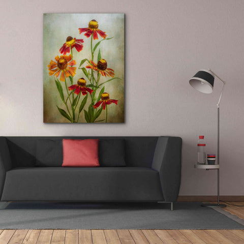 Image of 'Cabaret' by Mandy Disher, Giclee Canvas Wall Art,40x54