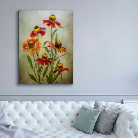 Image of 'Cabaret' by Mandy Disher, Giclee Canvas Wall Art,40x54
