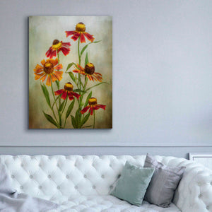 'Cabaret' by Mandy Disher, Giclee Canvas Wall Art,40x54