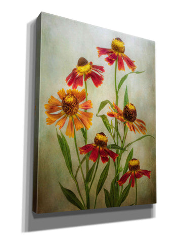 Image of 'Cabaret' by Mandy Disher, Giclee Canvas Wall Art