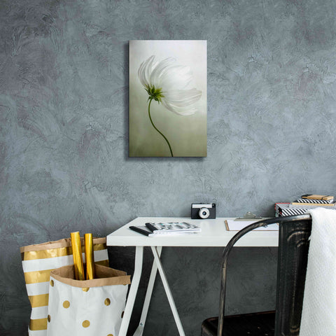 Image of 'Cosmos Charisma' by Mandy Disher, Giclee Canvas Wall Art,12x18