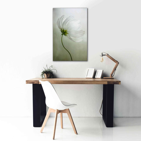 Image of 'Cosmos Charisma' by Mandy Disher, Giclee Canvas Wall Art,26x40