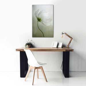 'Cosmos Charisma' by Mandy Disher, Giclee Canvas Wall Art,26x40