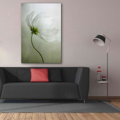 Image of 'Cosmos Charisma' by Mandy Disher, Giclee Canvas Wall Art,40x60