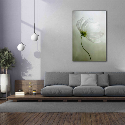 Image of 'Cosmos Charisma' by Mandy Disher, Giclee Canvas Wall Art,40x60